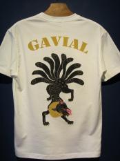 GAVIAL ガヴィル s/s TEE 